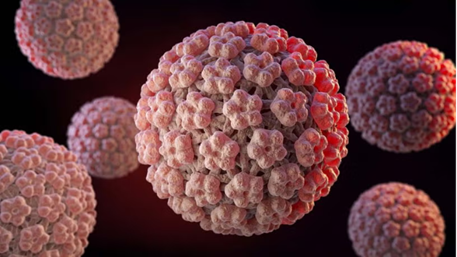 Vì sao HPV 16 thuộc nhóm nguy hiểm